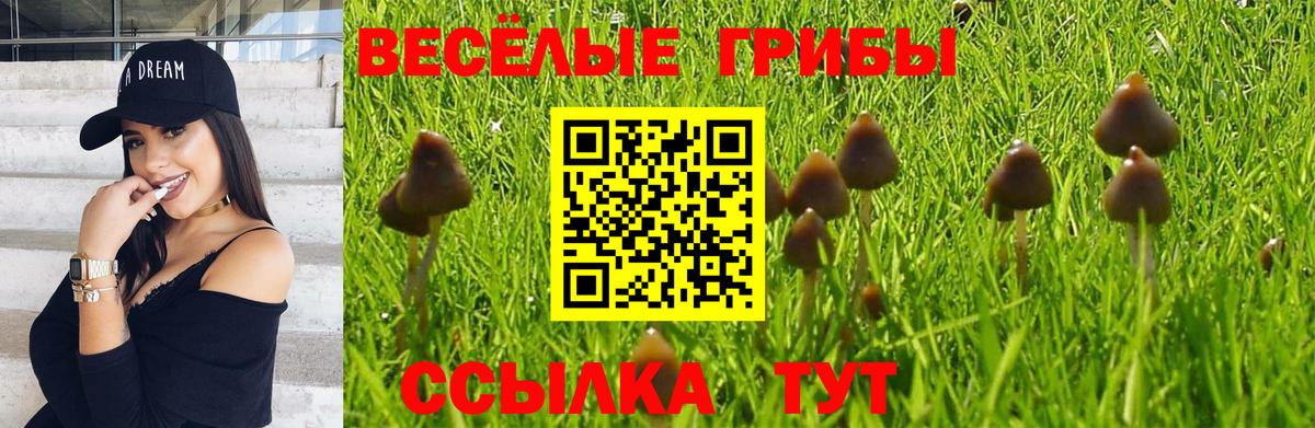 Псилоцибиновые грибы мухоморы  Фурманов 